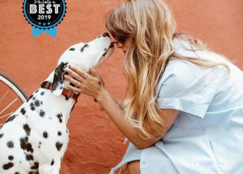 Congratulations Precious Paws Animal Hospital on being chosen as Desoto’s BEST for 2019!